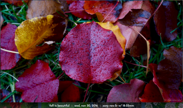 Screen Shot 2018-07-12 at 4.03.29 PM